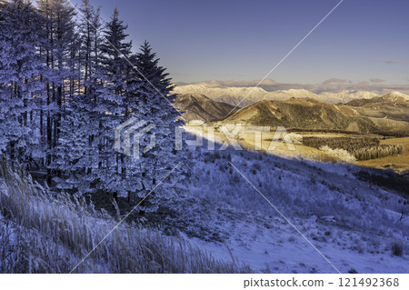 The frost-covered trees and the Northern Alps sparkling in the morning sun from the Kirigamine Plateau in the harsh winter The frost-covered trees and the Northern Alps sparkling in the morning sun from the Kirigamine Plateau in the harsh winter 121492368