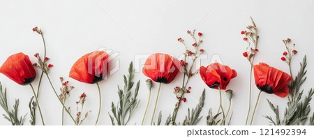 Anzac Day, poppy flowers on white background. Remembrance day symbol. 121492394