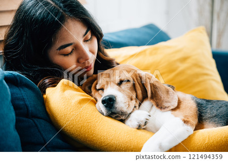 A woman shares a peaceful nap with her Beagle puppy on the sofa in their living room, capturing the essence of trust, togetherness, and happiness. It's a heartwarming home portrait. Pet love A woman shares a peaceful nap with her Beagle puppy on the sofa in their living room, capturing the essence of trust, togetherness, and happiness. It's a heartwarming home portrait. Pet love 121494359