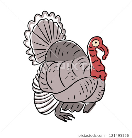 Illustration of turkey bird with detailed feathers Illustration of turkey bird with detailed feathers 121495336