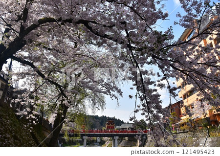 Takayama City, Gifu Prefecture, Japan, Spring Takayama Festival, Cherry blossoms in full bloom and food stalls crossing Nakabashi Bridge, beautiful fresh greenery, blue sky and Miyagawa River 121495423