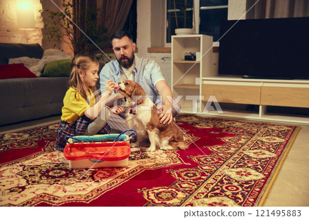 Caring moment. Little girl carefully feeding pet, playing role game with her father in cozy living room in the evening. Pretending to be a vet doctor 121495883