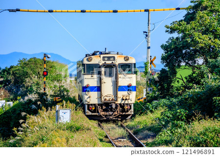 Kiha 47 running on the Ibusuki Makurazaki Line in autumn, Ibusuki City, Kagoshima Prefecture 121496891