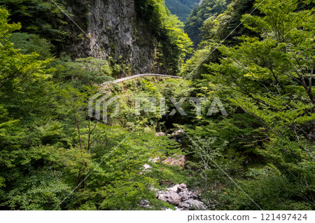 [國道193號線] 沿著山谷的國道 121497424