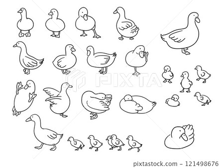 Hand drawn cute duck, funny duck, close up vector illustration 121498676