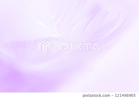 Feathers and fluffy background material Feathers and fluffy background material 121498905