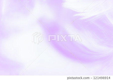 Feathers and fluffy background material Feathers and fluffy background material 121498914