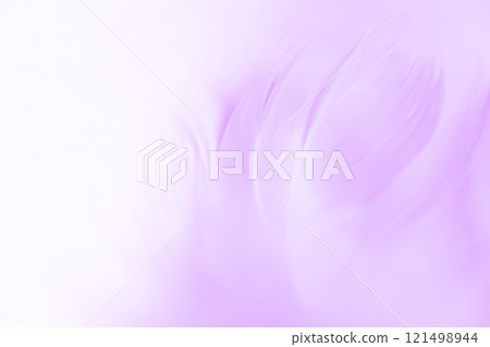 Feathers and fluffy background material 121498944