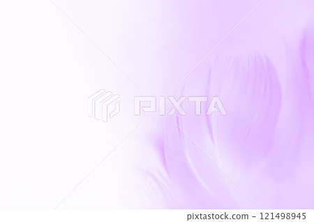 羽毛/蓬鬆背景材料 121498945