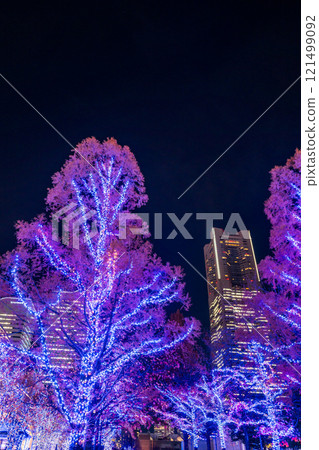 [Kanagawa Prefecture] Yokohama Minato Mirai Grand Mall Park Illuminations 121499092