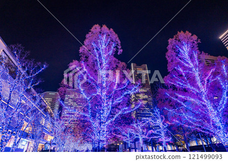 [Kanagawa Prefecture] Yokohama Minato Mirai Grand Mall Park Illuminations 121499093