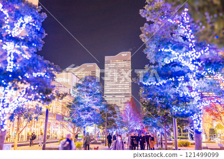 [Kanagawa Prefecture] Yokohama Minato Mirai Grand Mall Park Illuminations 121499099