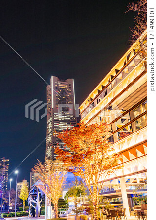 [Kanagawa Prefecture] Yokohama Minato Mirai Grand Mall Park Illuminations 121499101