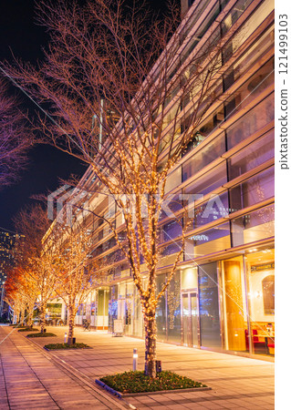 [Kanagawa Prefecture] Yokohama Minato Mirai Grand Mall Park Illuminations 121499103