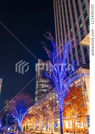 [Kanagawa Prefecture] Yokohama Minato Mirai Grand Mall Park Illuminations 121499105
