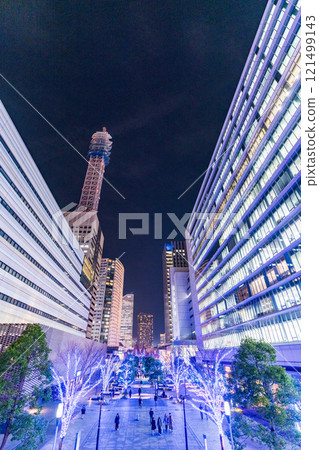 [Kanagawa Prefecture] Yokohama Minato Mirai, Road leading to Grand Mall Park, Illumination 121499143
