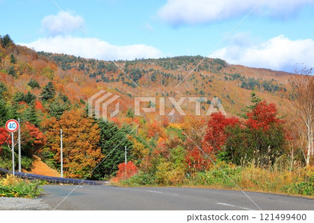 Hachimantai Aspite Line dyed in autumn leaves Hachimantai Aspite Line dyed in autumn leaves 121499400