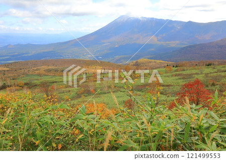 Hachimantai Aspite Line dyed in autumn leaves Hachimantai Aspite Line dyed in autumn leaves 121499553