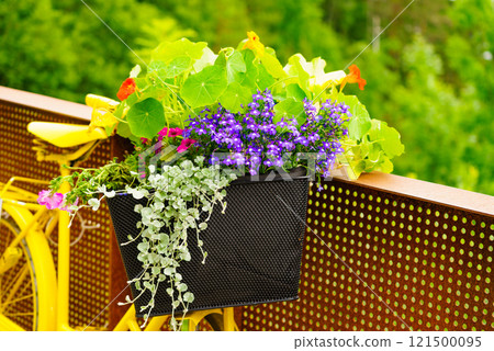 Bike with flowers decoration, Norway Bike with flowers decoration, Norway 121500095