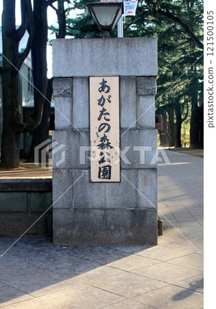 你的森林公園 121500105