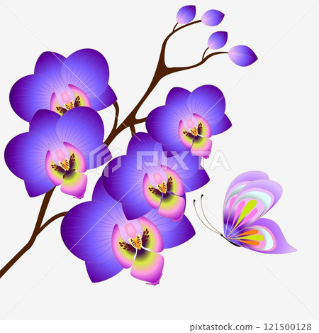 Floral background with orchids and butterfly, design element. Floral background with orchids and butterfly, design element. 121500128