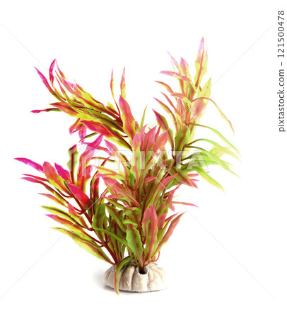 plastic plant for aquarium 121500478
