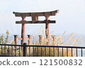 Torii of the lake 121500832