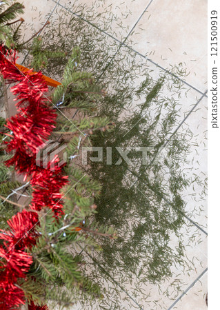Dried needles fallen from Christmas tree with red tinsel on tiled floor. 121500919