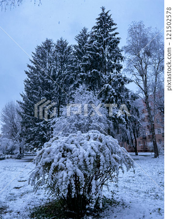 Beautiful winter landscape with snow covered trees in the city park. 121502578