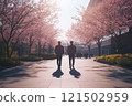 Wide angle back view of two professors walking away from camera under blooming cherry trees on bright spring day copy space 121502959