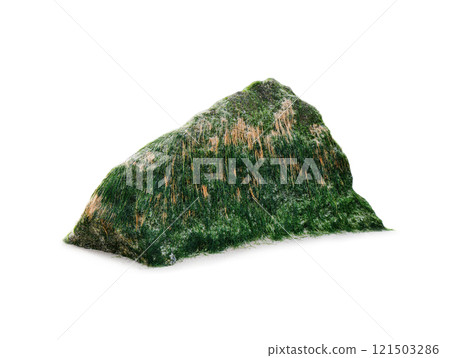 sea stone with algae isolated on white background 121503286