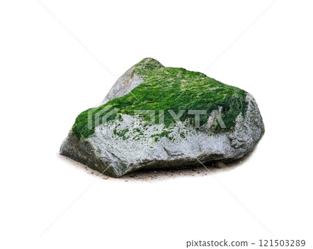 sea stone with algae isolated on white background 121503289
