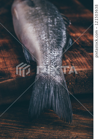 Close Up of Sea Bass Tail Close Up of Sea Bass Tail 121503638
