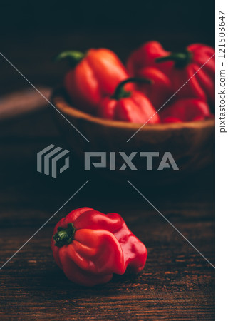Red Habanero Chili Pepper 121503647