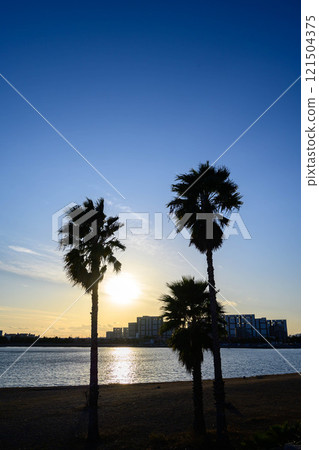 海灘上的日落與棕櫚樹的輪廓。拍攝於兵庫縣西宮市甲子園海灘 海灘上的日落與棕櫚樹的輪廓。拍攝於兵庫縣西宮市甲子園海灘 121504375