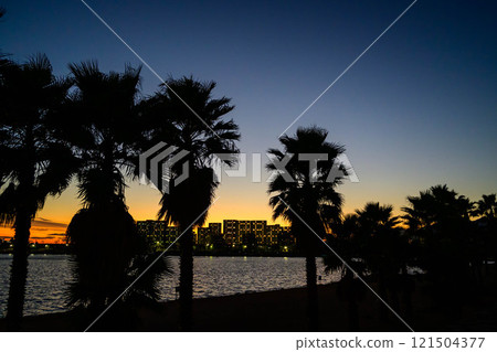 Sunset on the beach with silhouettes of palm trees. Photographed at Kohroen Beach in Nishinomiya, Hyogo Prefecture. 121504377