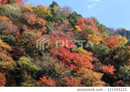 大荒瀑布紅葉峽秋妝(高知縣香美市) 大荒瀑布紅葉峽秋妝(高知縣香美市) 121505222