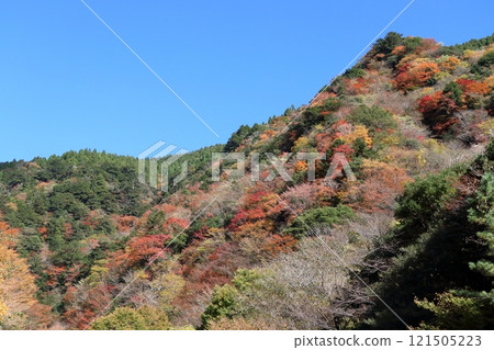 Autumn scenery from the Oara Falls rest area (Kami City, Kochi Prefecture) Autumn scenery from the Oara Falls rest area (Kami City, Kochi Prefecture) 121505223