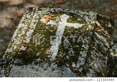 Abandoned grave in a cemetery 121505444