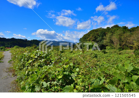 初秋時從薄根川沿岸看到的風景，沼田市上越方向的山脈 121505545