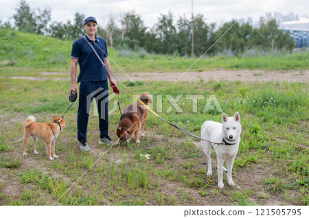 A Caucasian man walks with three dogs. Dog walker. A Caucasian man walks with three dogs. Dog walker. 121505795