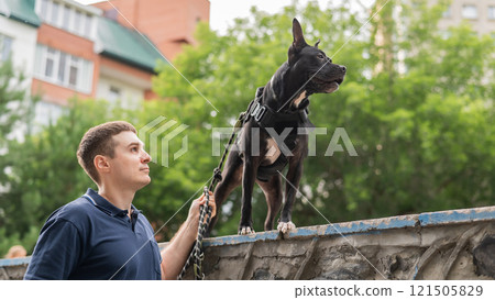 Caucasian man walking with a pitbull terrier dog.  121505829