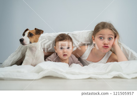 A little girl and her five-month-old brother and Jack Russell Terrier dog lie wrapped in a blanket. A little girl and her five-month-old brother and Jack Russell Terrier dog lie wrapped in a blanket. 121505957