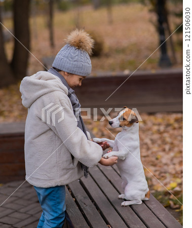 Caucasian girl holding a dog by the paws for a walk in the autumn park. Jack Russell Terrier stands on its hind legs on a bench. 121506030