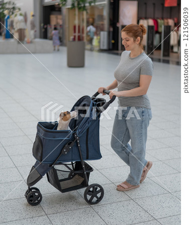 A Caucasian woman walks along the mall with her Jack Russell Terrier dog in a stroller. Vertical photo. A Caucasian woman walks along the mall with her Jack Russell Terrier dog in a stroller. Vertical photo. 121506039
