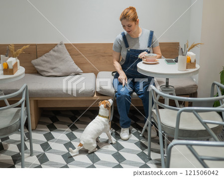 Jack Russell sits on the floor in a cafe and waits for the owner in a dog friendly cafe. Woman drinks coffee. 121506042