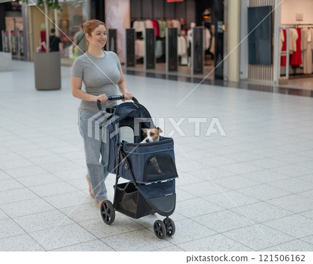 Caucasian woman shopping with her Jack Russell terrier dog in a stroller. 121506162