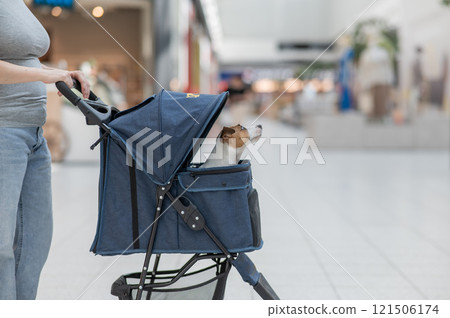 A Caucasian woman walks along the mall with her Jack Russell Terrier dog in a stroller.  121506174