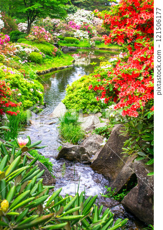 Flowers along the stream (vertical) Flowers along the stream (vertical) 121506177