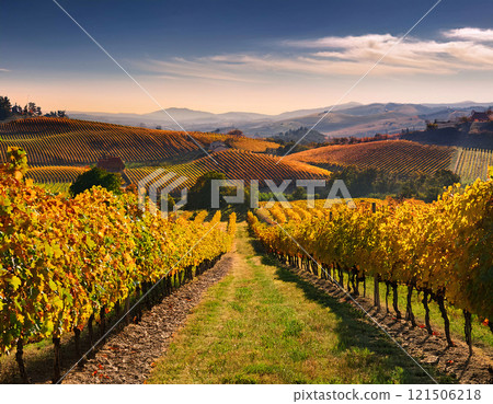 A picturesque vineyard stretches across rolling hills under a partly cloudy sky, showcasing lush green grapevines and scenic mountain views 121506218